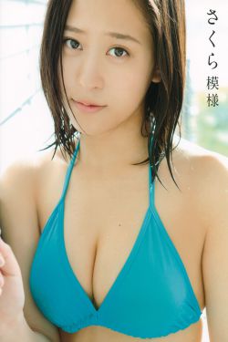 归路30集全集